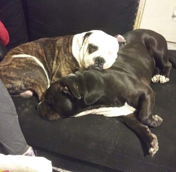 Meet your Posher, Derrick - Picture 1 of 1